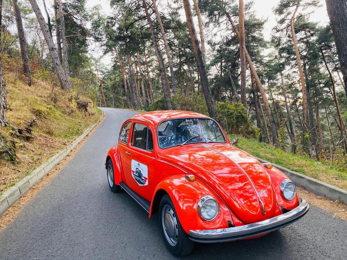 Vila Old Cars Крістіан Екстер'єр фото